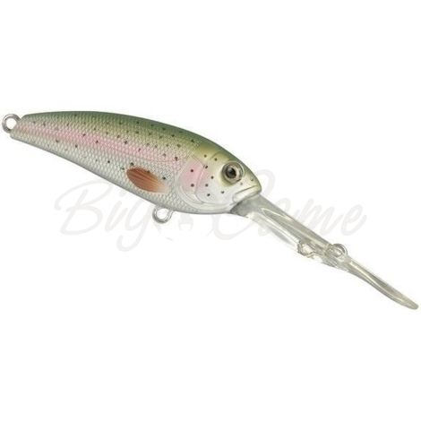 Воблер SPRO Gomen Shad 60S цв. Rainbow Trout фото 1