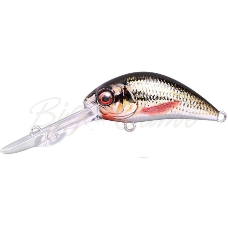 Воблер SPRO Ikiru Chrome Baby Crank-DD 40 FL цв. Roach фото 1