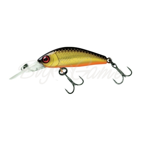 Воблер JACKALL Diving Chubby Minnow 35SP цв. hl gold & black фото 1