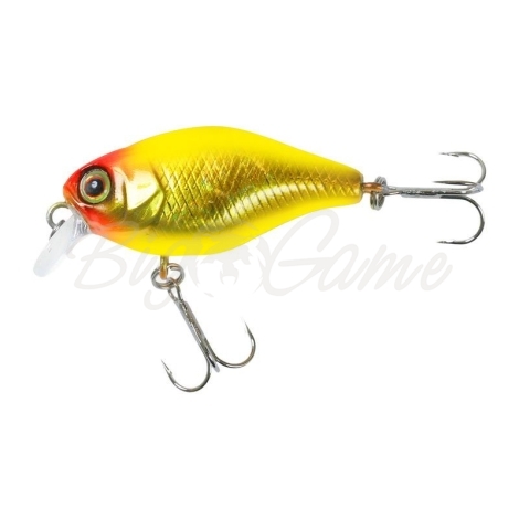 Воблер JACKALL Chubby 38 SR цв. gold & chart фото 2