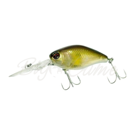 Воблер JACKALL DD Chubby 38 цв. ghost ayu фото 2