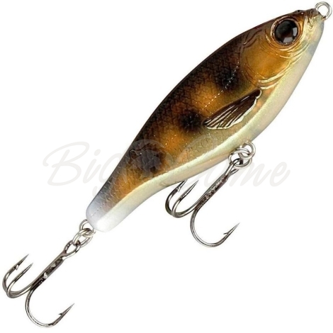 Воблер SAVAGE GEAR 3D Roach Jerkster SS 11,5 см цв. 09-Ghost Goby фото 1