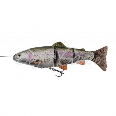 Воблер SAVAGE GEAR 4D Line Thru Trout SS 25 см цв. 01-Rainbow Trout фото 1