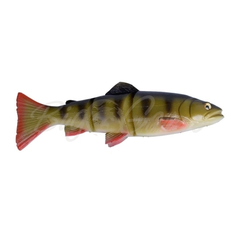 Приманка SAVAGE GEAR 3D Line Thru Trout SS 30 см цв. 04-Perch фото 1