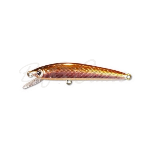 Воблер DAIWA TD Minnow 1061 SP цв. A-2 фото 1