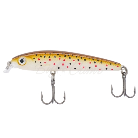 Воблер RAPALA Ultra Light Minnow 6 см код цв. TR фото 2