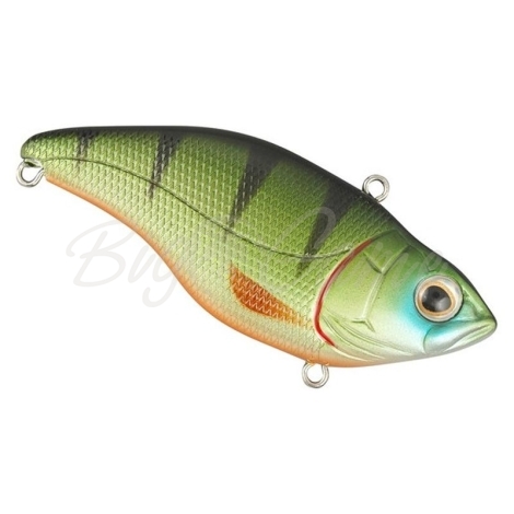 Воблер SPRO Aruku Shad 75 WR SP цв. Green Perch фото 1