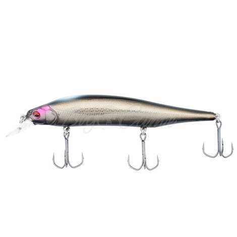 Воблер MEGABASS Ito Shiner SP фото 2