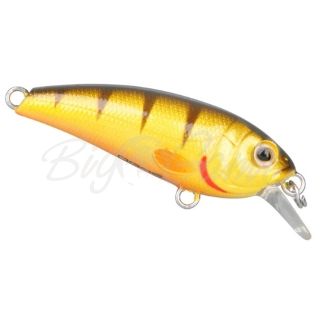 Воблер SPRO Chibi Shad 40SS цв. Sl Yellow Perch фото 1