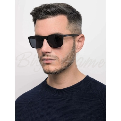 Очки солнцезащитные INVU Мужские B2120A с чехлом 20201 цв. чёрный цв. ст. серый фото 2