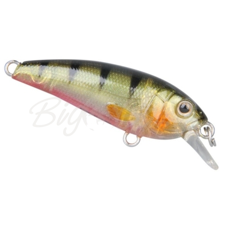 Воблер SPRO Chibi Shad 40SS цв. Sl Green Ghost Perch фото 1