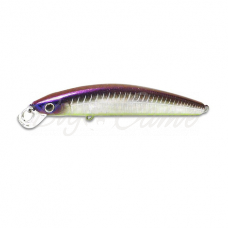 Воблер DAIWA TD Minnow 120SP цв. Ghost Herring фото 1