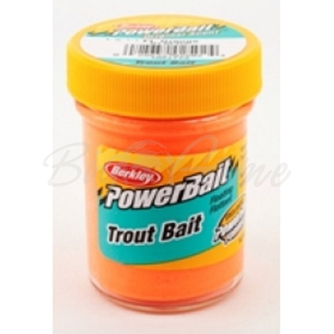 Паста форелевая BERKLEY PowerBait Biodegradable TroutBait цв. флюоресцентный оранжевый фото 1