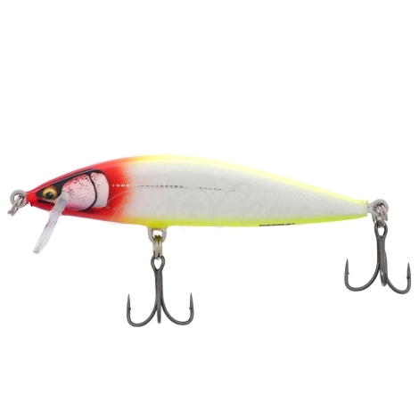Воблер RAPALA CountDown Elite 95S код цв. GDCL фото 2