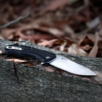 Нож складной RUIKE Knife D198-PB цв. Черный превью 5