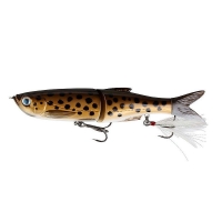 52-Brown Trout