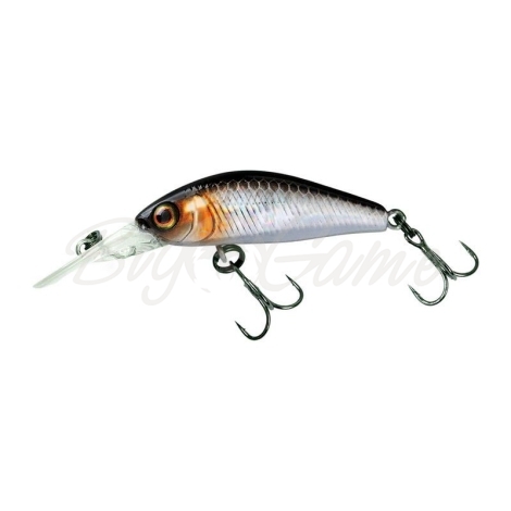 Воблер JACKALL Diving Chubby Minnow 35SP цв. hl silver & black фото 1