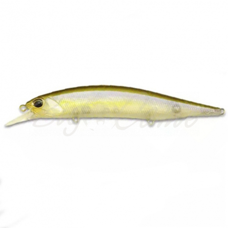 Воблер DUO Realis Jerkbait 100SP код цв. GEA3006 фото 1