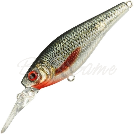 Воблер SPRO Ikiru Chrome Shad 70 SL SP цв. Roach фото 1