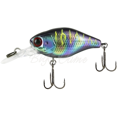 Воблер JACKALL Chubby 38 MR цв. uv ul tamamushi tiger фото 2