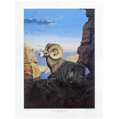 Картина T. Mansanarez репродукция Desert Bighorn Sheep  фото 1