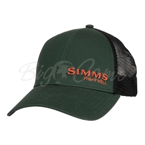 Кепка SIMMS Fish It Well Forever Trucker цвет Foliage фото 1