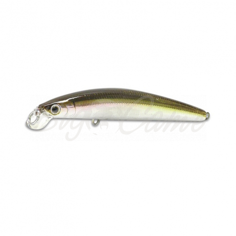 Воблер DAIWA TD Minnow 95SP цв. Wakasagi фото 1