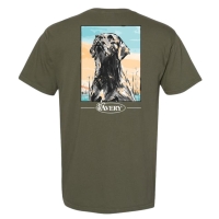 Футболка AVERY Painted Lab Tee цвет Sage