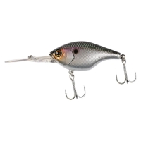 sk silver shiner