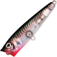 sardine