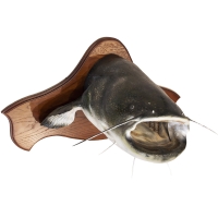 Рыба сом голова медальон 90 см