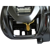 Катушка мультипликаторная DAIWA Steez A TW 1016SHL превью 3