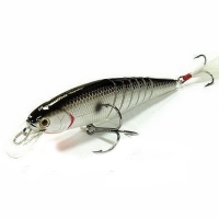 tennessee shad