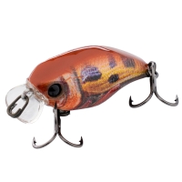 rt custard bug