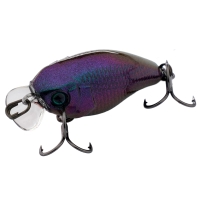 ul bug