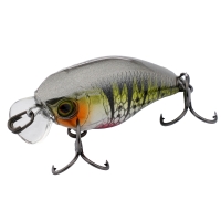 hl g perch