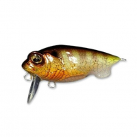 Hakusei Glitter Gill