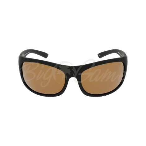 Очки солнцезащитные INVU Спортивные A2106N с чехлом 20063 цв. черный цв. ст. коричневый фото 3