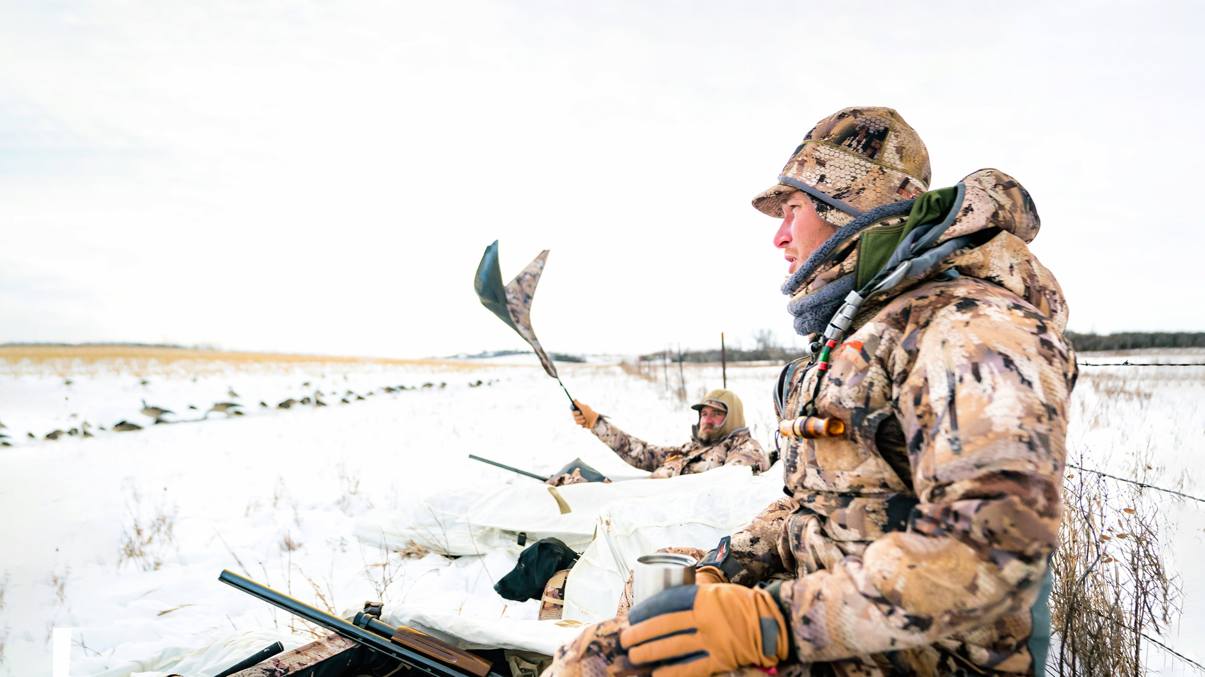 Sitka - Новое поступление