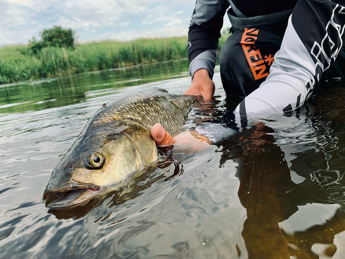 Идеи на тему «Fishing» (190)  советы для рыболова, рыболовные