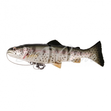 Воблер SAVAGE GEAR 4D Line Thru Trout MS 20 см цв. MS 01-Rainbow фото 1