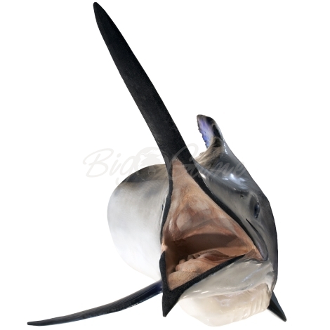 Рыба голубой марлин голова 150 см фото 3