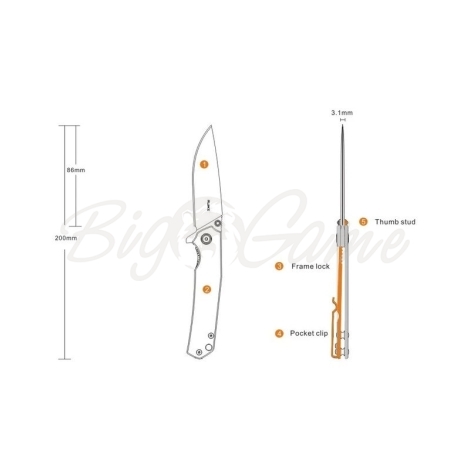 Нож складной RUIKE Knife P801-SF фото 8