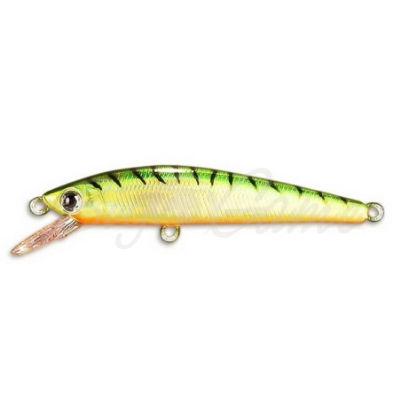 Воблер DAIWA TD Minnow Laser 1061 SP цв. C-5 фото 1