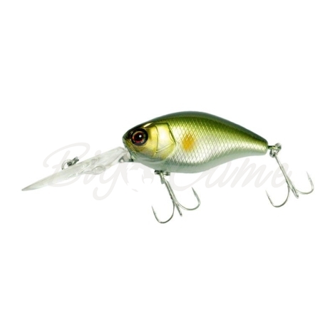 Воблер JACKALL DD Chubby 38 цв. ayu фото 2