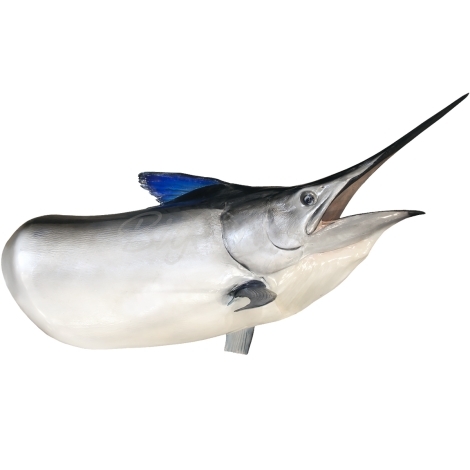 Рыба голубой марлин голова 150 см фото 1