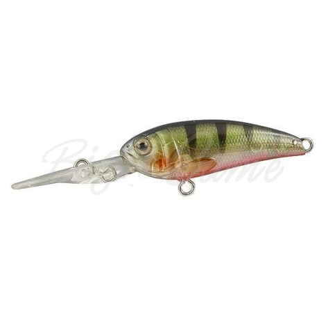 Воблер SPRO Chibi Shad 40SS цв. Ll Green Ghost Perch фото 1