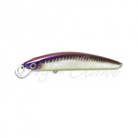 Воблер DAIWA TD Minnow 95SP цв. Ghost Herring фото 1