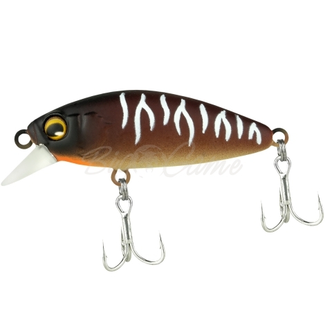 Воблер JACKALL Abbey Minnow 38SF цв. bug tiger фото 1