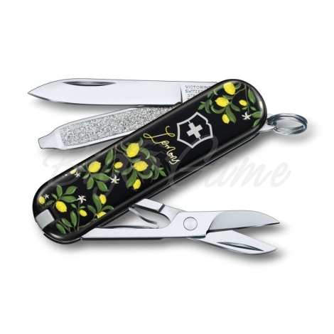 Нож VICTORINOX Classic LE2019 58мм 7 функций цв. When life gives you Lemons фото 1